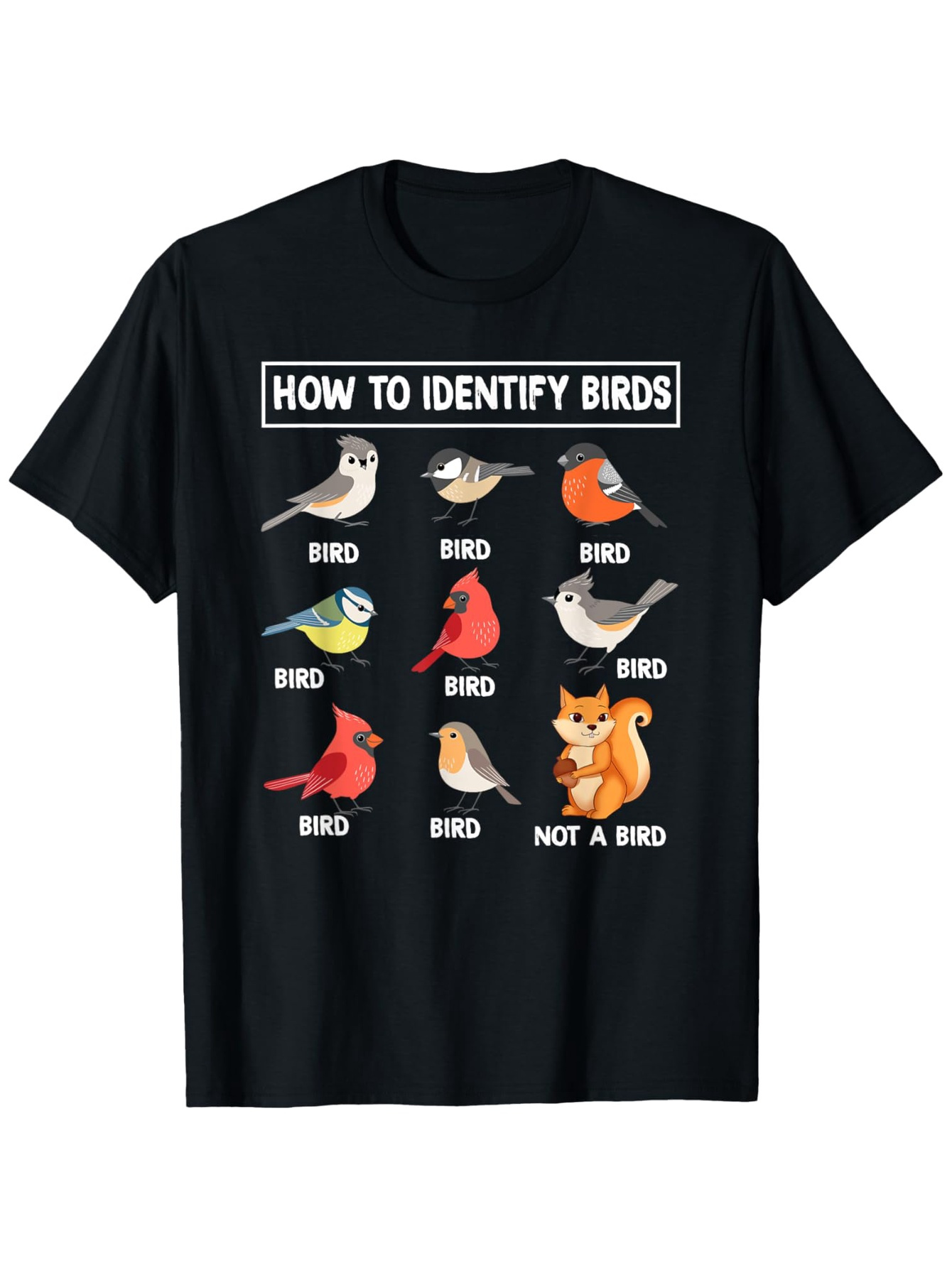 Come identificare uccelli, non - Summer Clothing Pictures recensione e prezzo